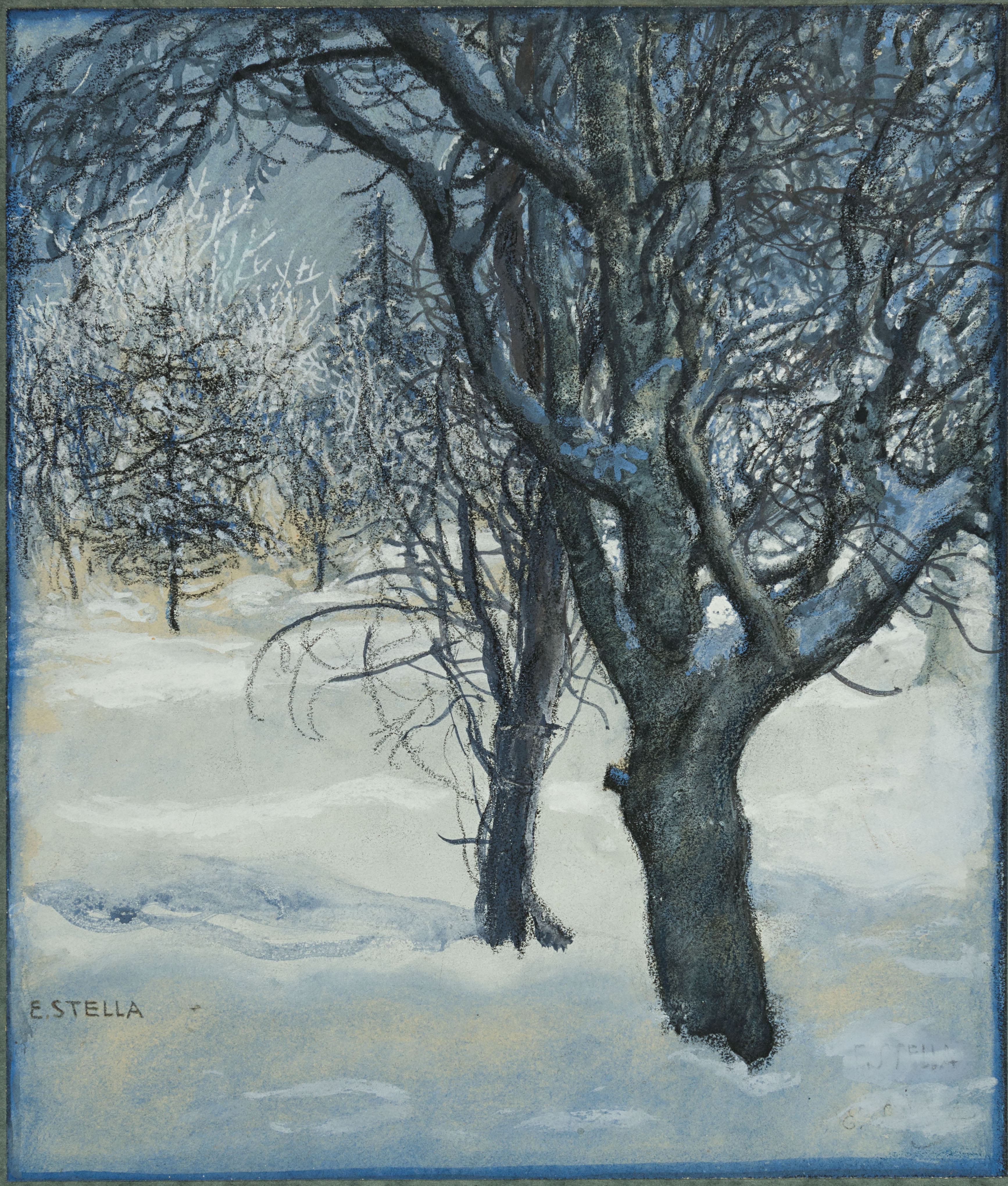 Wooded Landscape in Winter